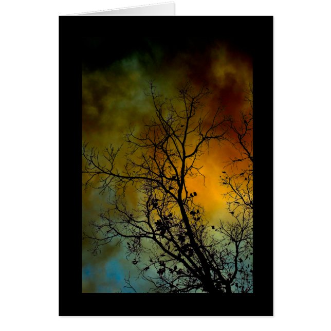 boom op een stormachtige ochtend (Voorkant)