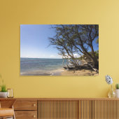 Boom op een strand langs de kust canvas afdruk (Insitu (Woonkamer))
