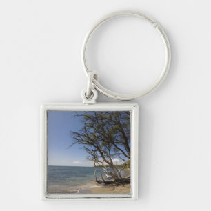Boom op een strand langs de kust sleutelhanger