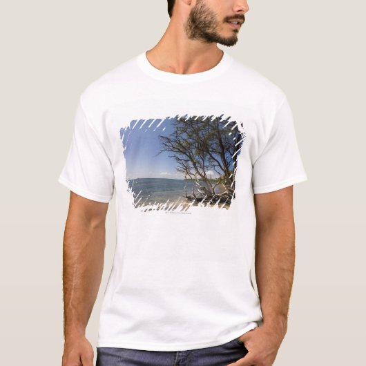 Boom op een strand langs de kust t-shirt (Voorkant)