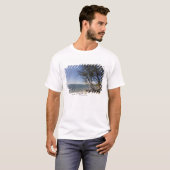 Boom op een strand langs de kust t-shirt (Voorkant volledig)