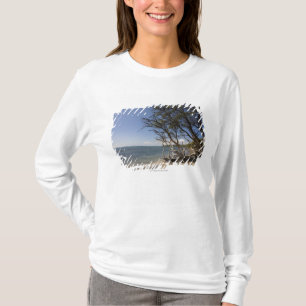 Boom op een strand langs de kust t-shirt