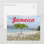 BOOM OP GEDEELDE BAND IN JAMAICA BRIEFKAART (Voorkant / Achterkant)