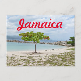 BOOM OP GEDEELDE BAND IN JAMAICA BRIEFKAART