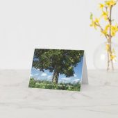 BOOM OP GRAS WEET; BLAUWE HEMEL, PLUIZIGE WITTE WO KAART (Gele Bloem)