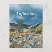 Boom op het Fann-gebergte in Tadzjikistan Briefkaart (Voorkant)