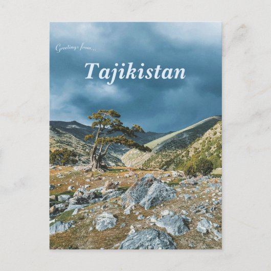 Boom op het Fann-gebergte in Tadzjikistan Briefkaart (Voorkant)