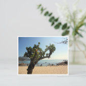 boom op het strand van Hung Shing Yeh Briefkaart (Staand voorkant)