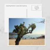 boom op het strand van Hung Shing Yeh Briefkaart (Voorkant / Achterkant)