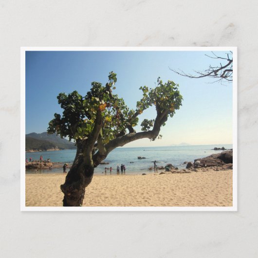 boom op het strand van Hung Shing Yeh Briefkaart (Voorkant)