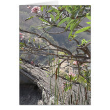 Boom over een vol dak - Blanco kaart