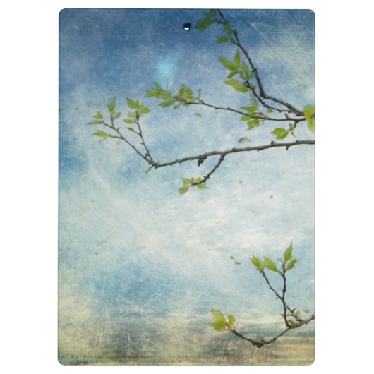 Boom over getextureerde hemel klembord (Achterkant)