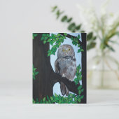 Boom Owl Briefkaart (Staand voorkant)