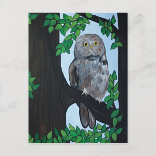 Boom Owl Briefkaart