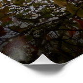 Boom Perfect Poster (Hoek)