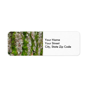 Boom pine met moss-terugzendlabel etiket