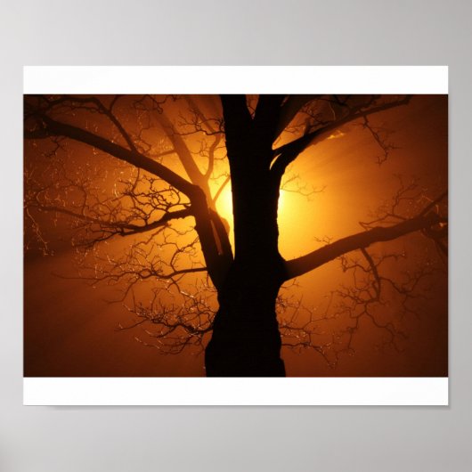 Boom Poster (Voorkant)