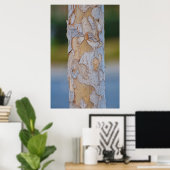 Boom Poster (Thuiskantoor)