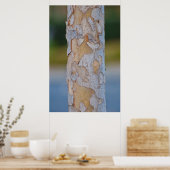 Boom Poster (Keuken)