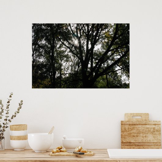 Boom Poster (Keuken)