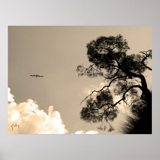 boom poster (Voorkant)