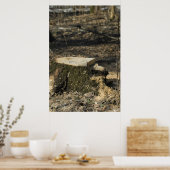 Boom Poster (Keuken)