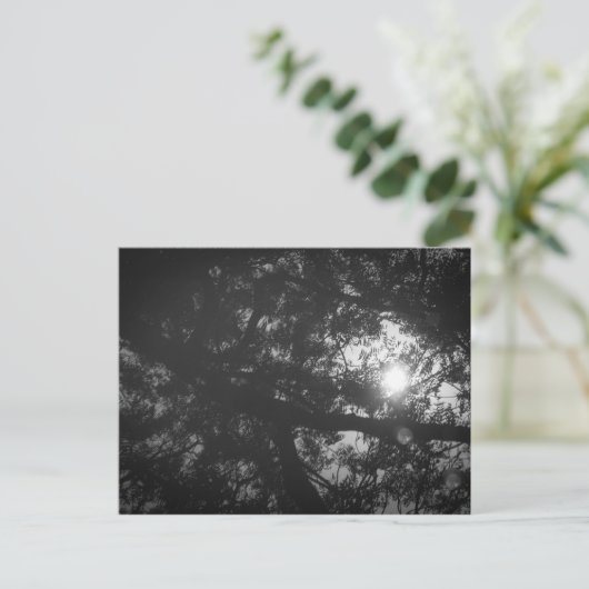 Boom-reflectie Briefkaart (Staand voorkant)