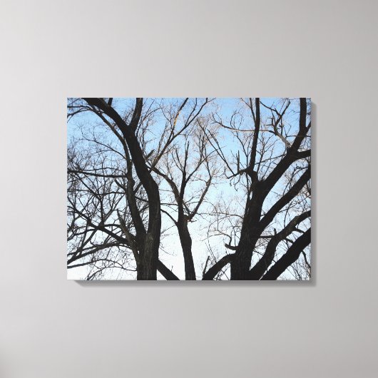 Boom Rek Canvasprint Canvas Afdruk (Voorkant)