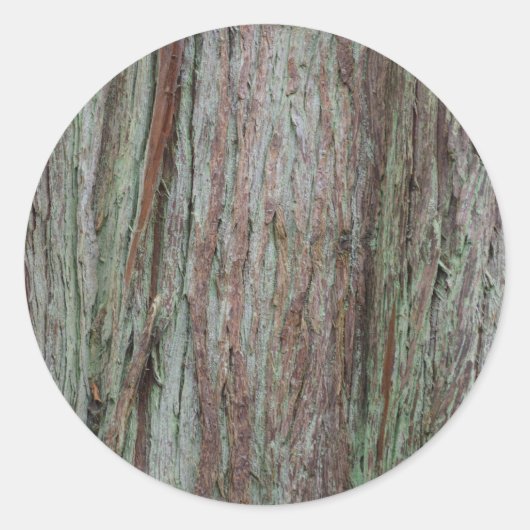 Boom Ronde Sticker (Voorkant)