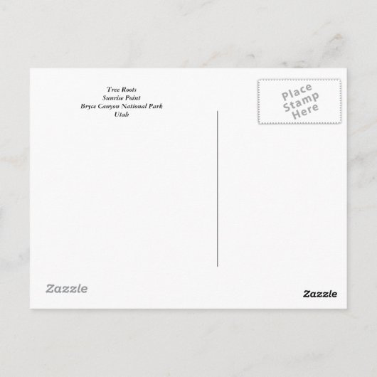 Boom Roots Briefkaart (Achterkant)