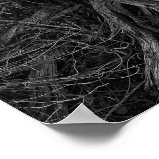 Boom Roots Poster (Hoek)