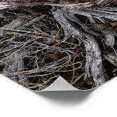 Boom Roots Poster (Hoek)