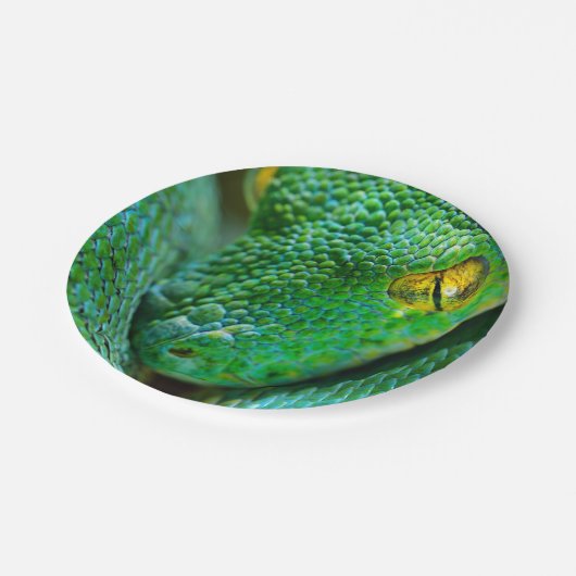 Boom Scene Papieren Bordje (Gekanteld)