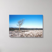 Boom Scout Scar Old Man of Coniston background Canvas Afdruk (Voorkant)