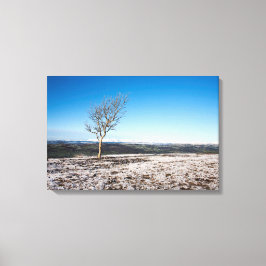 Boom Scout Scar Old Man of Coniston background Canvas Afdruk