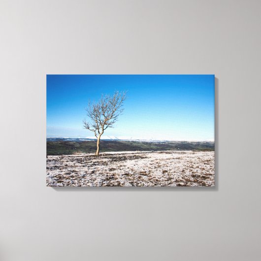 Boom Scout Scar Old Man of Coniston background Canvas Afdruk (Voorkant)