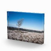 Boom Scout Scar Old Man of Coniston background Fotoblokken (Rechts)