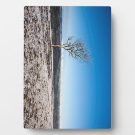 Boom Scout Scar Old Man of Coniston background Fotoplaat