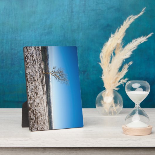 Boom Scout Scar Old Man of Coniston background Fotoplaat (Zijkant)