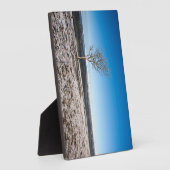 Boom Scout Scar Old Man of Coniston background Fotoplaat (Zijkant)