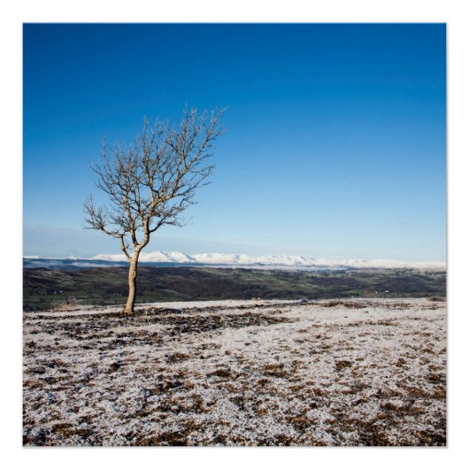 Boom Scout Scar Old Man of Coniston background Perfect Poster (Voorkant)