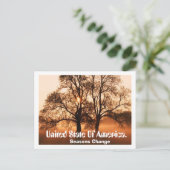 Boom, seizoensverandering, Verenigde Staten van Am Briefkaart (Staand voorkant)