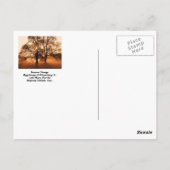 Boom, seizoensverandering, Verenigde Staten van Am Briefkaart (Achterkant)