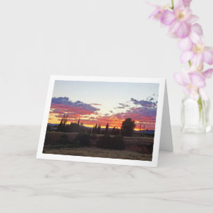 Boom Silhouet Avond Zonsondergang Kaart