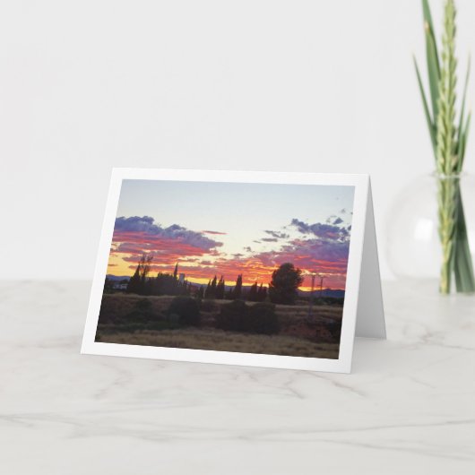 Boom Silhouet Avond Zonsondergang Kaart (Voorkant)