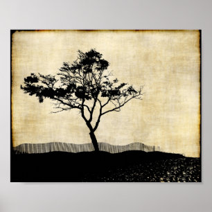 Boom Silhouet Foto Kunst Poster