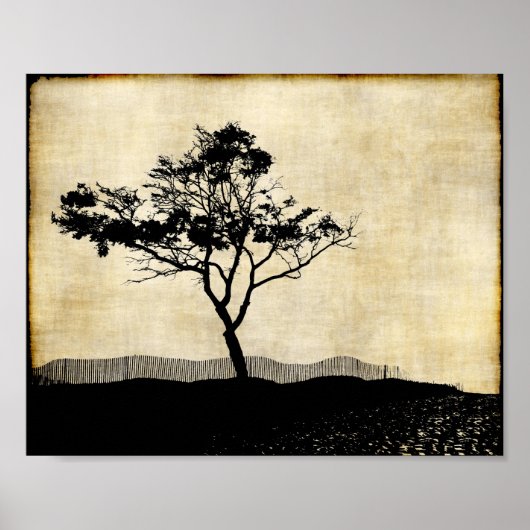 Boom Silhouet Foto Kunst Poster (Voorkant)