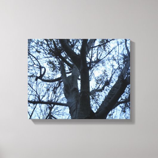 Boom Silhouet Fotografie Canvasprint Canvas Afdruk (Voorkant)
