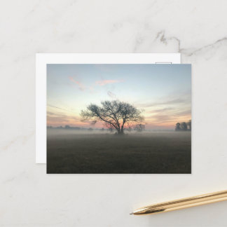 Boom Silhouet in Misty Field Briefkaart