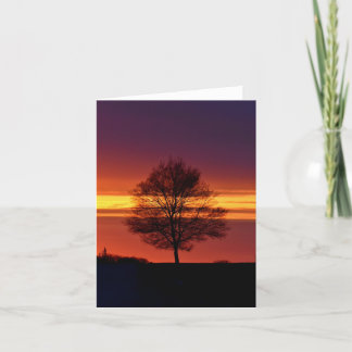 Boom-silhouetblanco notiecard. bedankkaart